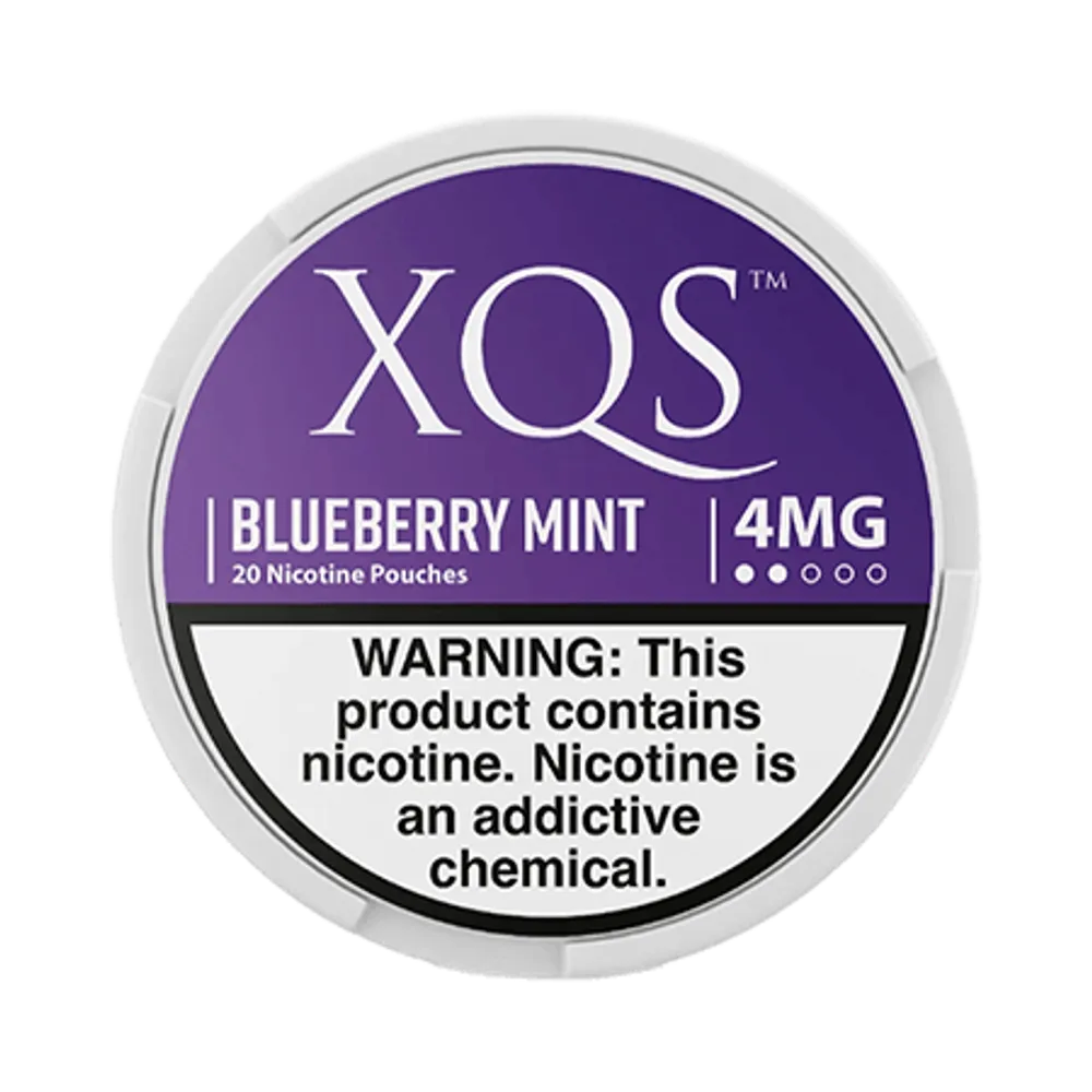 Blueberry Mint 4mg - Vinapouches